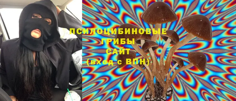 даркнет сайт  Высоковск  Псилоцибиновые грибы Psilocybine cubensis 